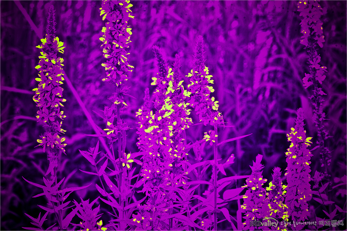 Creative digital agency based in Korea