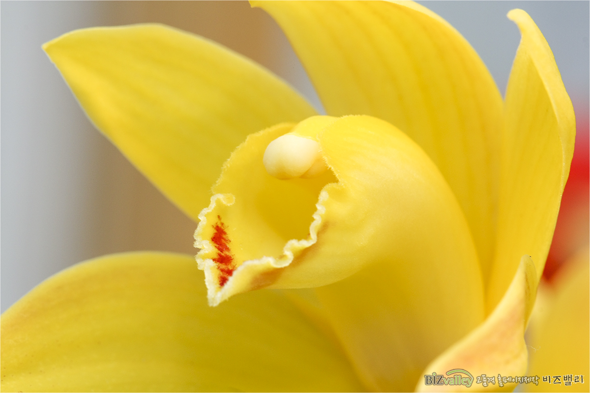 Homepage production specializing company