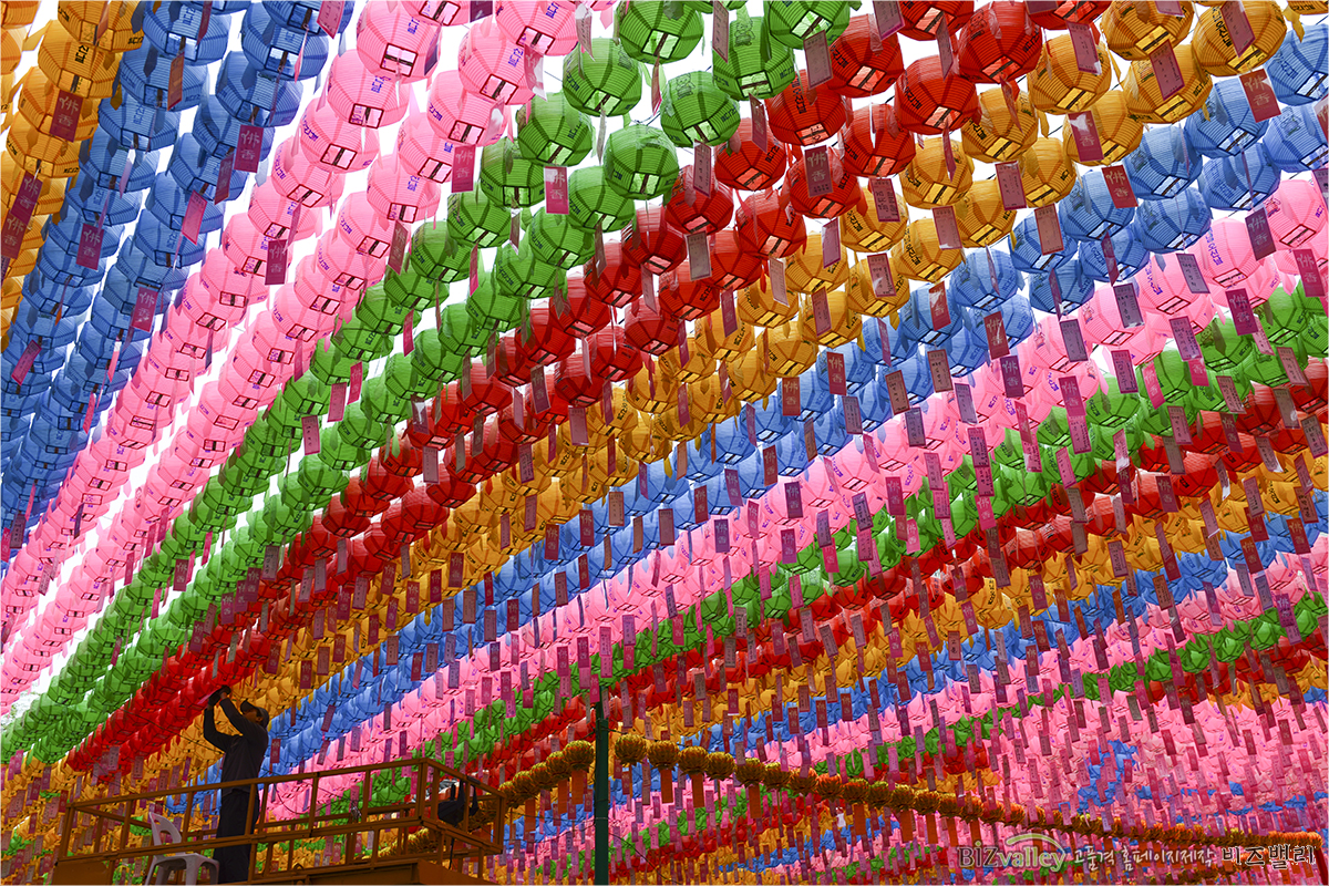 We are Web program production company