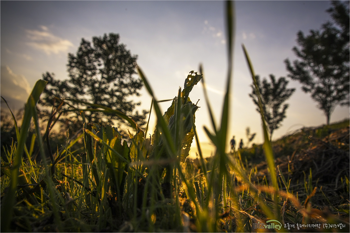 Creative digital agency based in Korea