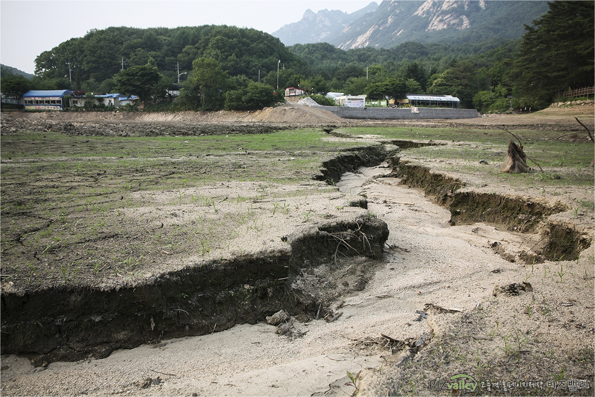 We are Web program production company