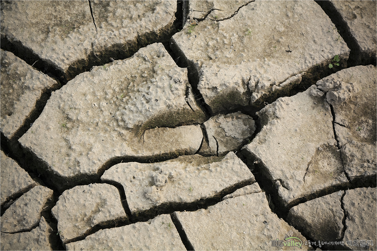 Homepage production specializing company