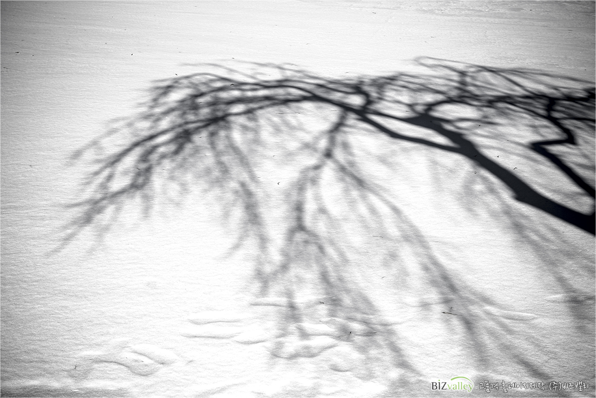 Creative digital agency based in Korea